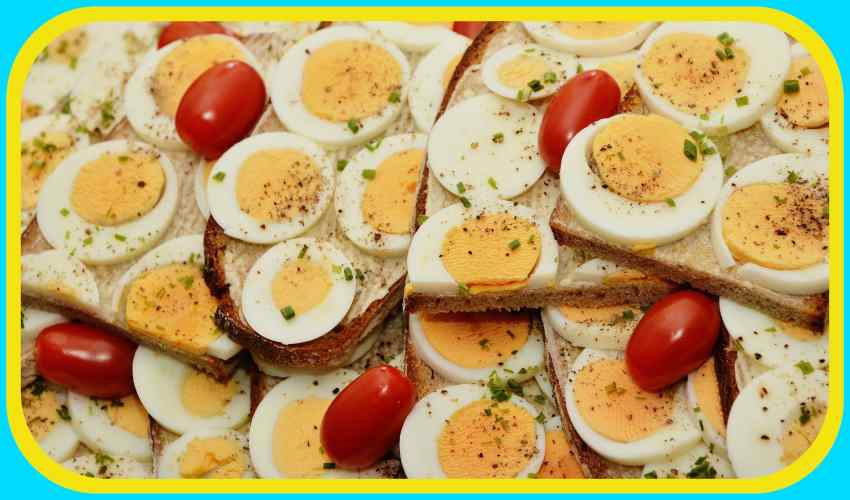 https://10tv.in/life-style/does-eating-an-egg-every-day-increase-memory-357218.html