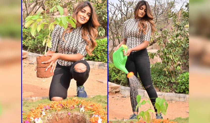 https://10tv.in/movies/actress-dimple-hayathi-participated-in-green-india-challenge-359921.html
