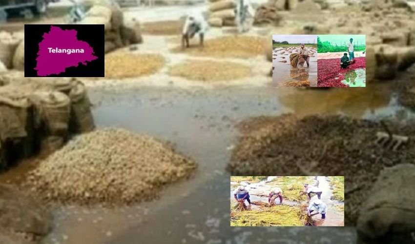 https://10tv.in/telangana/severe-damage-to-farmers-with-untimely-rains-in-telangana-351526.html