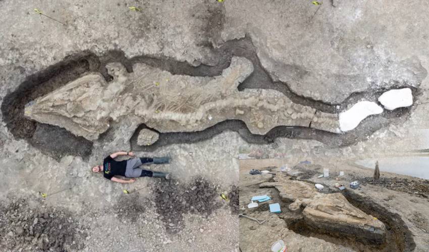 https://10tv.in/international/sea-dragon-dolphin-england-enormous-sea-dragon-fossil-from-180-million-years-ago-discovered-in-midland-england-350446.html