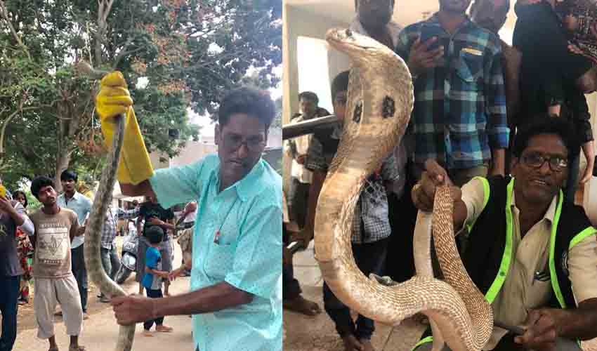 https://10tv.in/andhra-pradesh/ttd-snake-catcher-bhaskar-naidu-health-update-362588.html