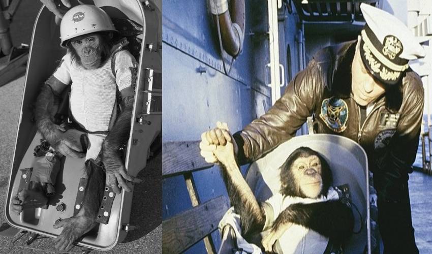 https://10tv.in/international/today-history-nasa-first-chimpanzee-in-space-this-day-of-1961-361542.html