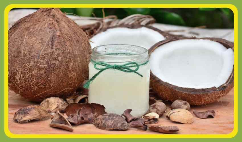 https://10tv.in/life-style/what-are-the-benefits-of-coconut-which-is-considered-sacred-357199.html