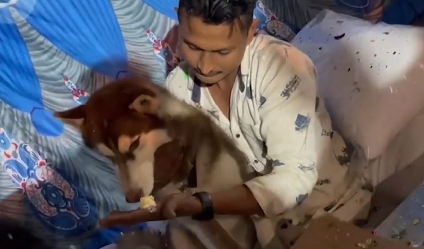 Dogs Birthday: పెంపుడు కుక్క పుట్టినరోజున 150 మందికి బిర్యానీ దానం చేసిన దినసరి కూలీ