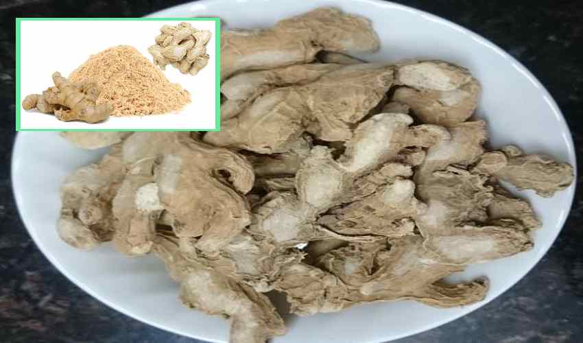 https://10tv.in/life-style/what-are-the-health-benefits-of-dry-ginger-358502.html