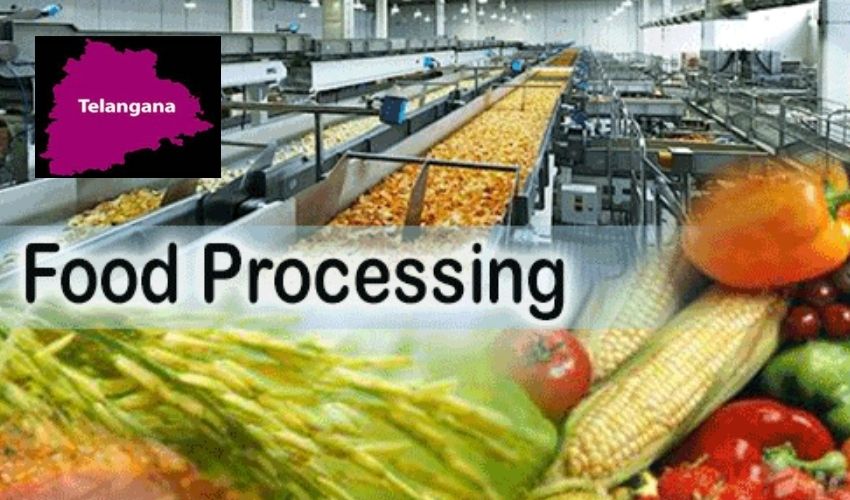 https://10tv.in/telangana/the-telangana-government-has-decided-to-give-priority-to-food-processing-units-352168.html