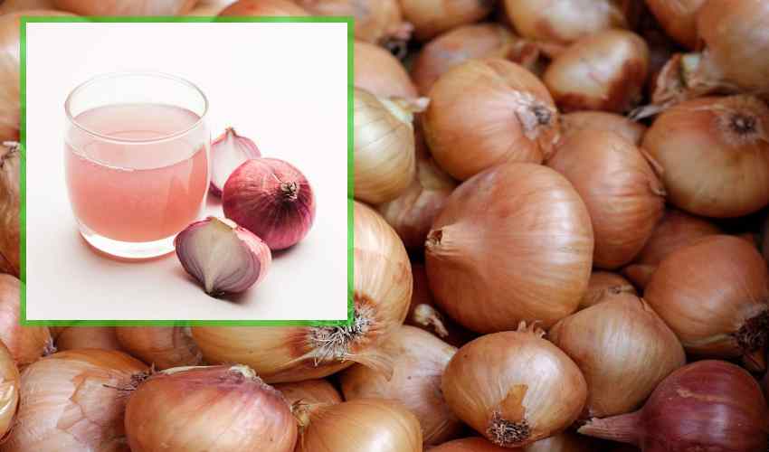 https://10tv.in/life-style/onion-juice-that-melts-the-stomach-and-many-more-uses-354568.html