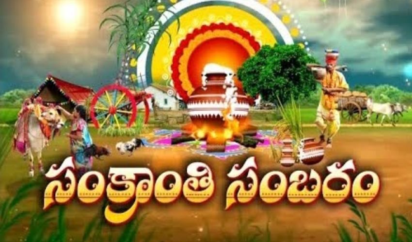 https://10tv.in/andhra-pradesh/sankranthi-celebrations-in-ap-and-telangana-352694.html