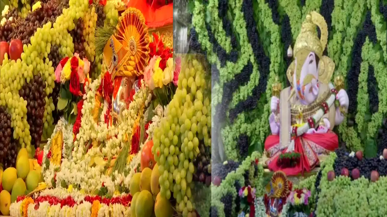 Maharashtra : రైతుల భక్తి.. 2,000 కిలోల ద్రాక్షపండ్ల‌తో గణేషుడికి అలంక‌ర‌ణ‌