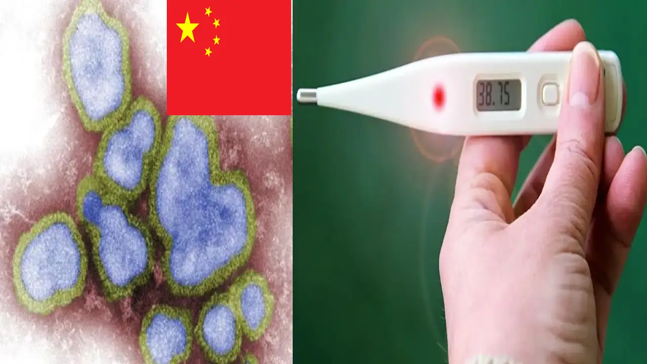 https://10tv.in/international/china-1st-human-case-of-h3n8-bird-flu-4-year-old-found-infected-416203.html