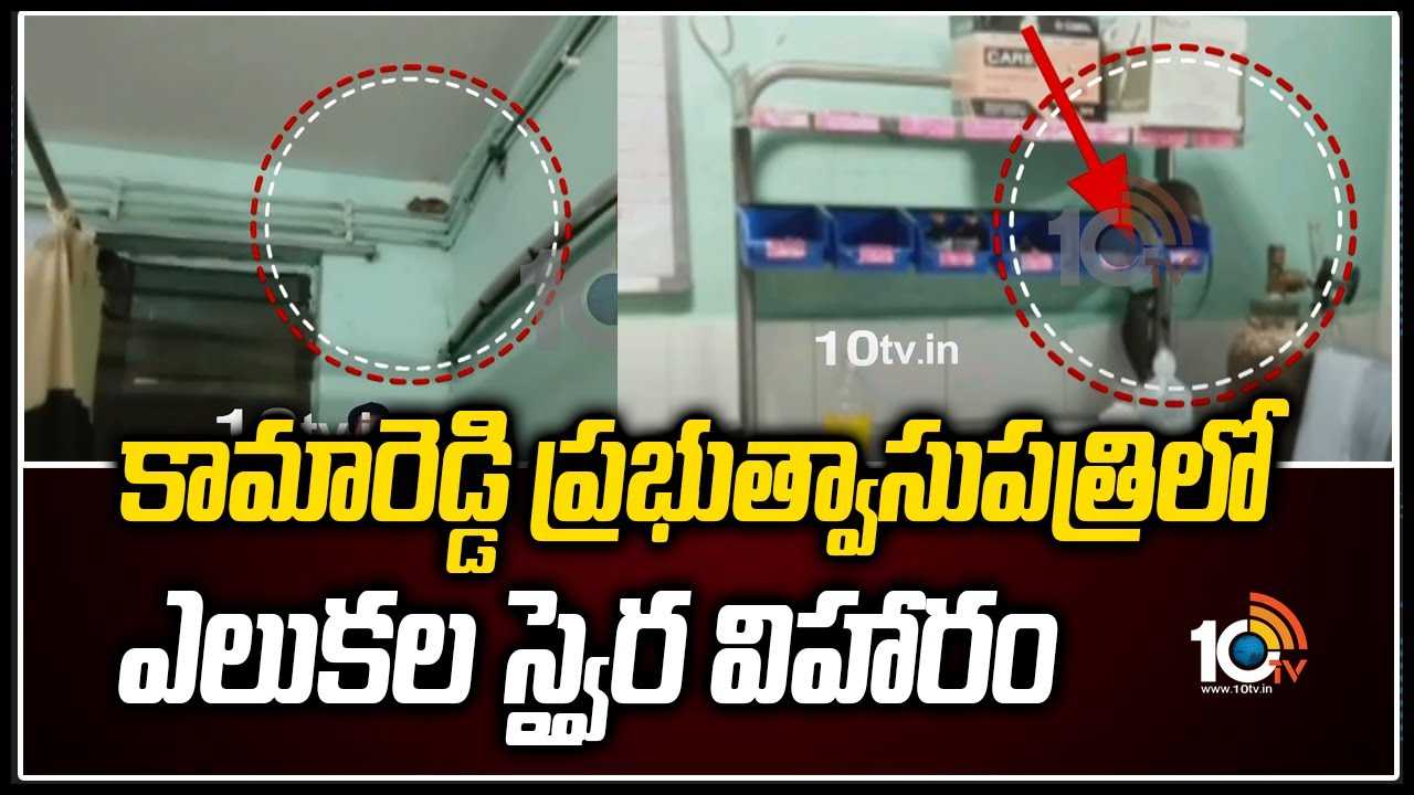 https://10tv.in/exclusive-videos/kamareddy-district-government-hospital-407241.html