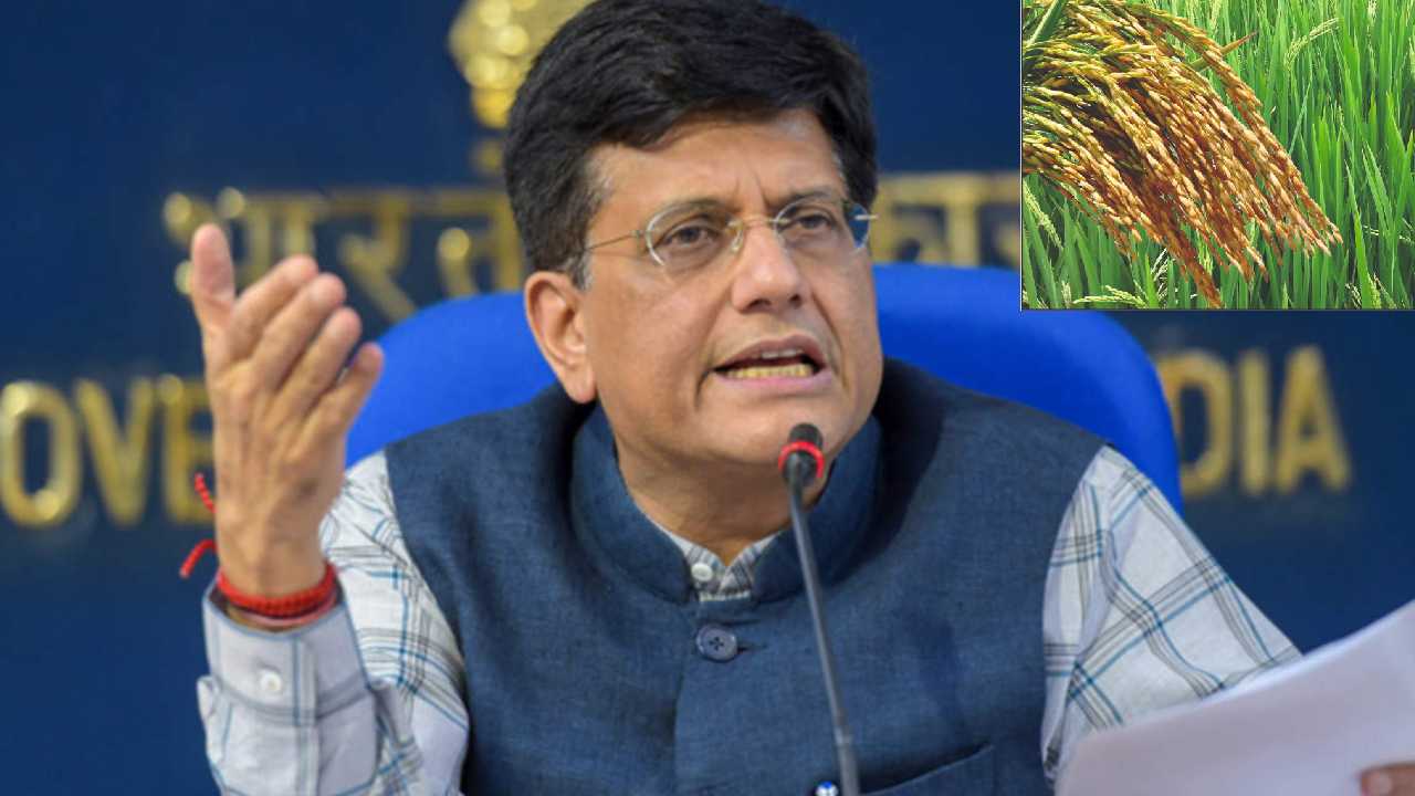 https://10tv.in/andhra-pradesh/piyush-goyal-hot-comments-on-paddy-procurement-row-401648.html