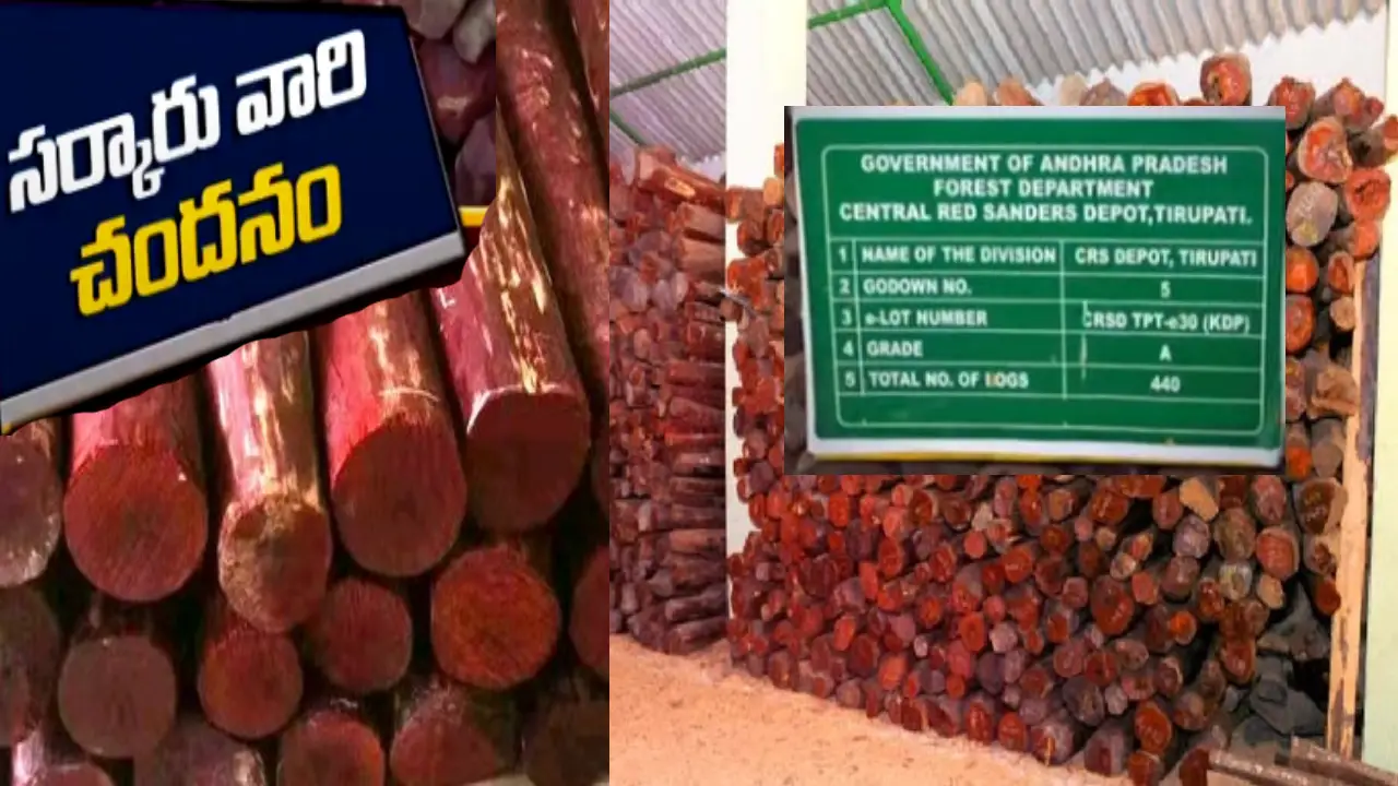 https://10tv.in/andhra-pradesh/5500-tonnes-of-red-sandalwood-in-ap-government-godowns-delay-in-central-government-approvals-for-auction-416738.html