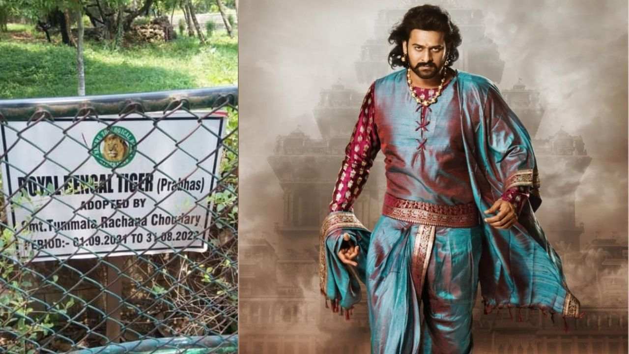 https://10tv.in/movies/prabhas-name-for-bengal-tiger-in-hyderabad-nehru-zoological-park-viral-in-social-media-418562.html