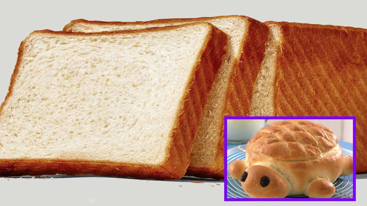 https://10tv.in/life-style/do-you-overeat-bread-risk-of-diabetes-and-heart-disease-415082.html