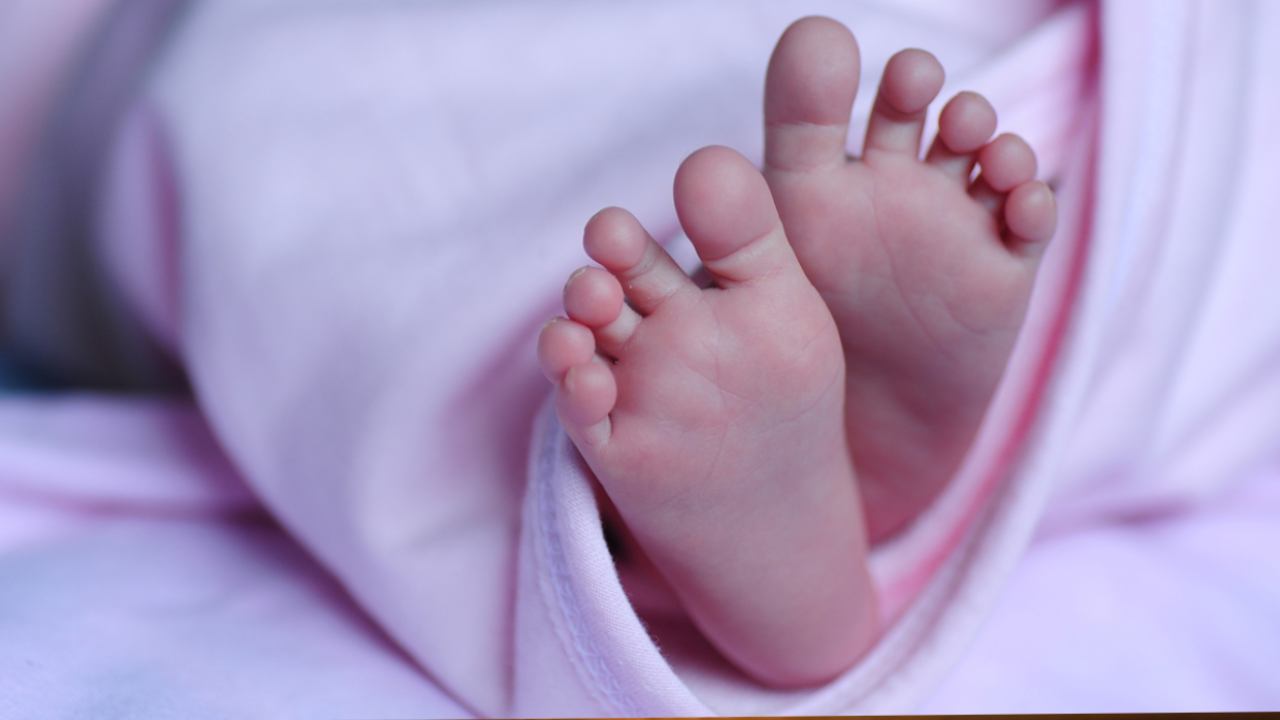 https://10tv.in/national/jammu-and-kashmir-shocker-newborn-girl-child-declared-dead-found-alive-after-being-buried-in-banihal-431959.html