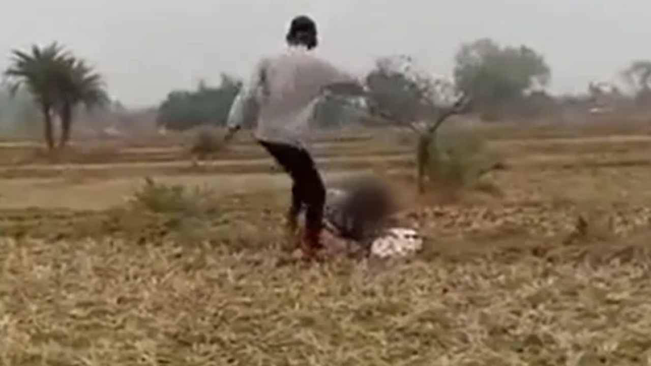 https://10tv.in/national/jharkhand-cm-orders-action-after-video-of-boy-raining-kicks-on-girl-goes-viral-431460.html