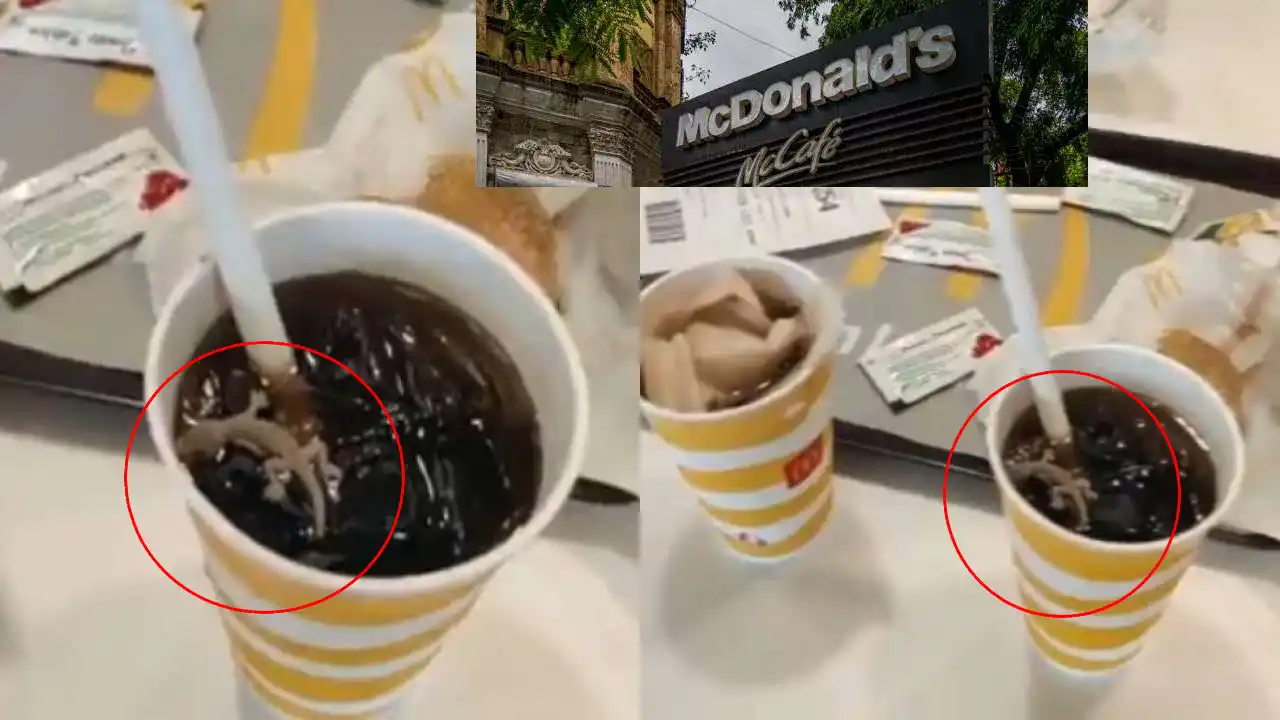 https://10tv.in/national/mcdonalds-outlet-sealed-in-ahmedabad-after-lizard-spotted-in-cool-drink-432601.html