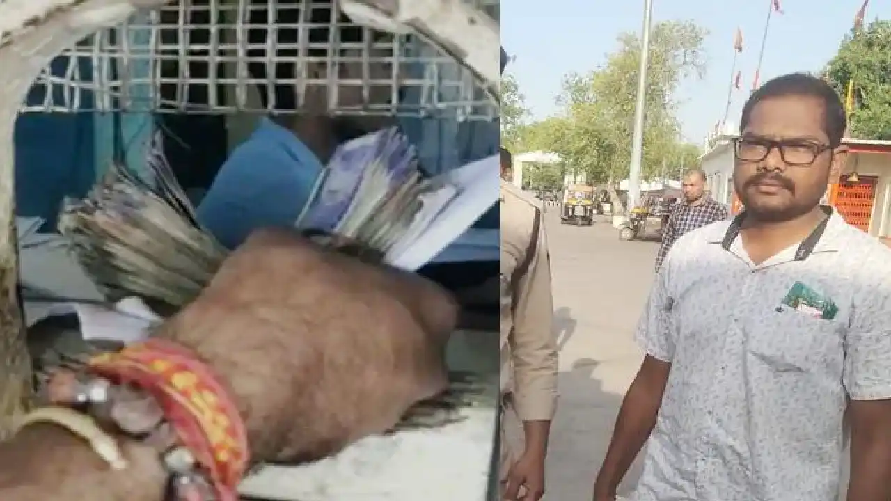 https://10tv.in/crime/postmaster-lost-rs-1-cr-in-ipl-betting-he-used-fixed-deposits-of-24-families-of-madhya-pradesh-432953.html