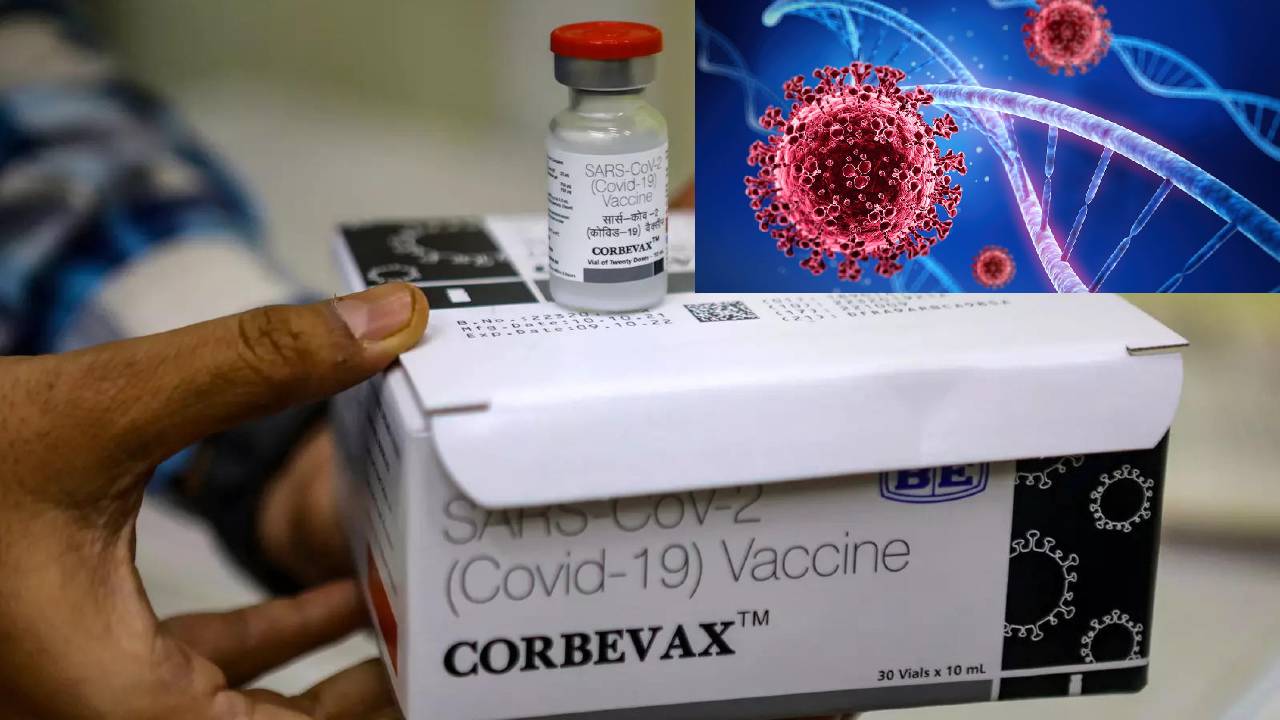 Corbevax Vaccine: అత్యవసర బూస్టర్ డోసుగా కార్బెవాక్స్: డీజీసీఐకి ధరఖాస్తు చేసిన ‘బయోలాజికల్ ఈ’