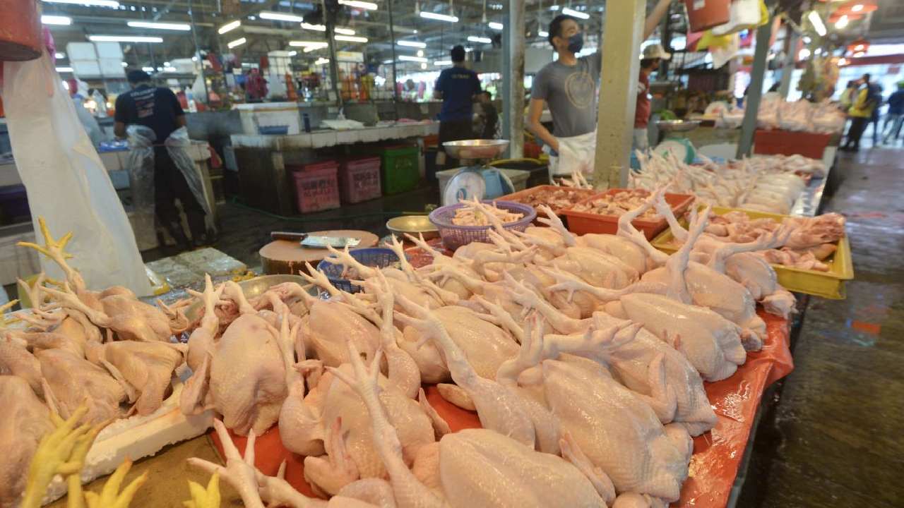 chicken prices: తెలుగు రాష్ట్రాల్లో పెరిగిన చికెన్ ధరలు
