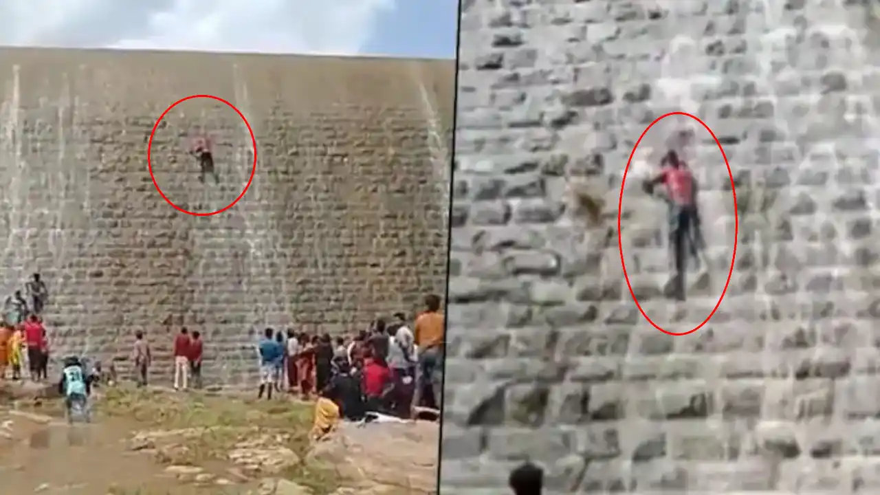 https://10tv.in/national/young-man-falls-off-dam-wall-during-dangerous-feat-now-faces-a-case-431736.html