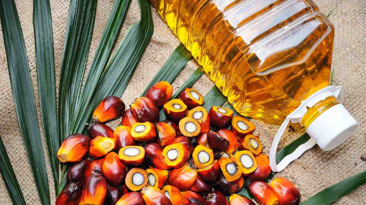 Palm Oil: పామాయిల్‌ ఎగుమతులపై నిషేధం ఎత్తేసిన ఇండోనేషియా