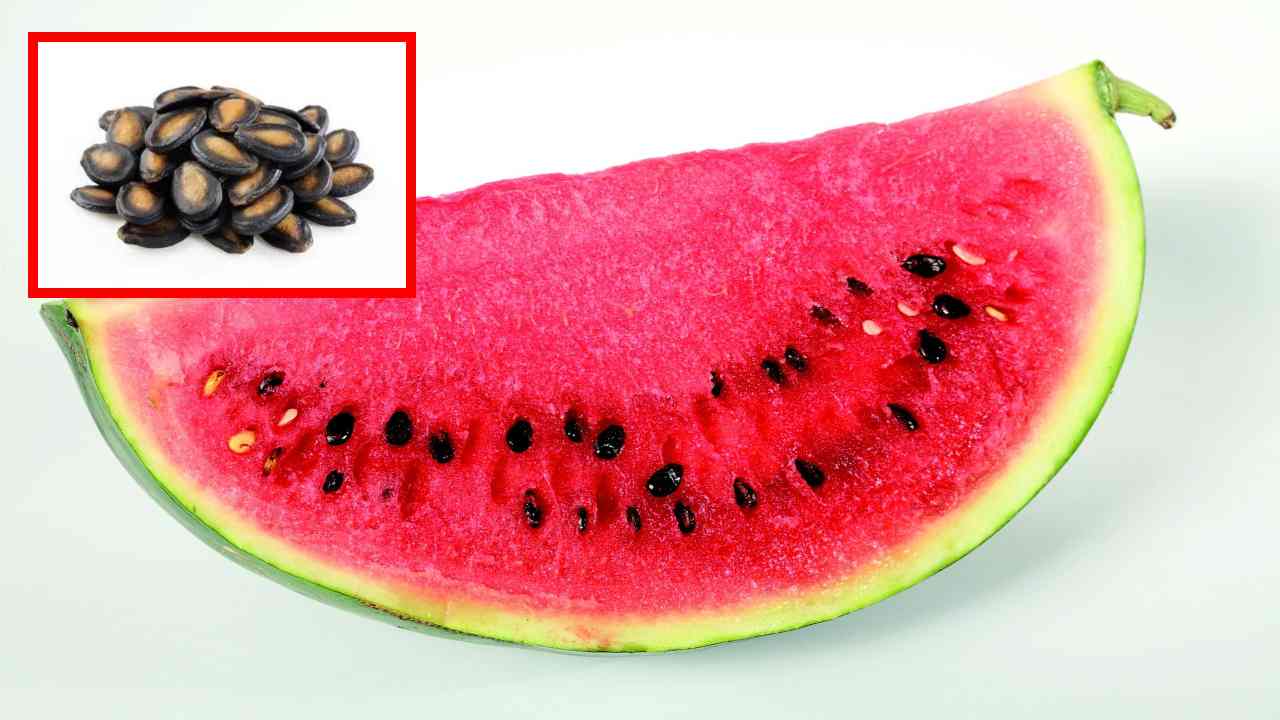 https://10tv.in/life-style/watermelons-that-lower-blood-pressure-and-regulate-blood-sugar-levels-427026.html