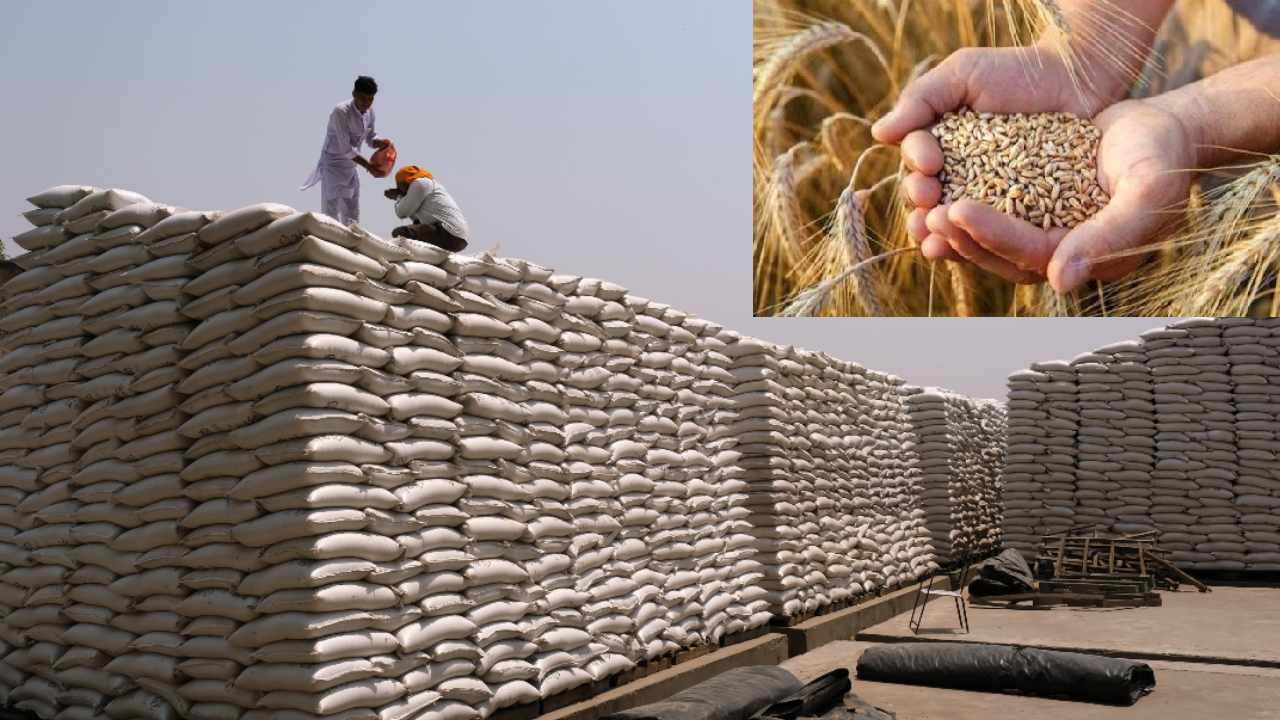 https://10tv.in/national/several-countries-approach-india-for-wheat-imports-435433.html