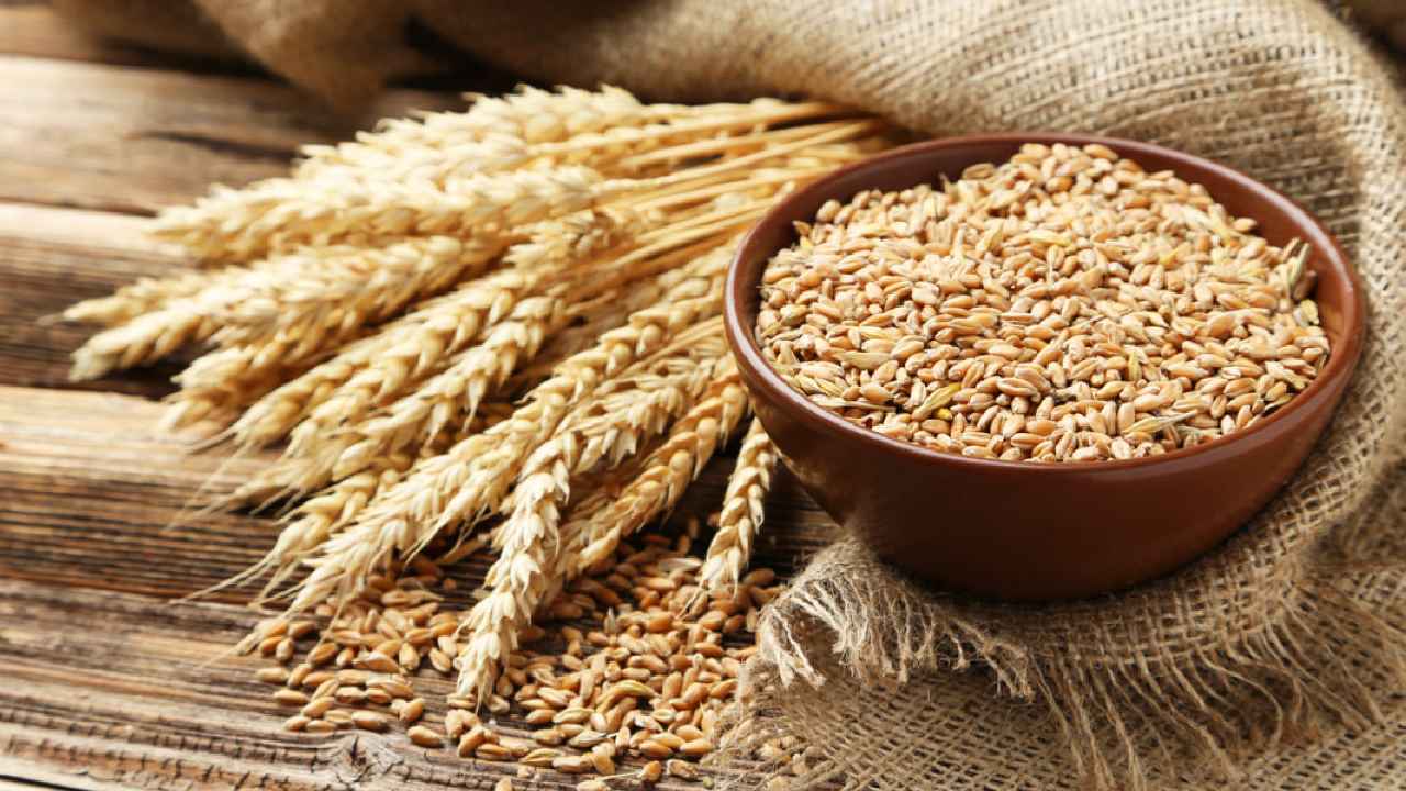 https://10tv.in/latest/india-bans-wheat-export-with-immediate-effect-426346.html