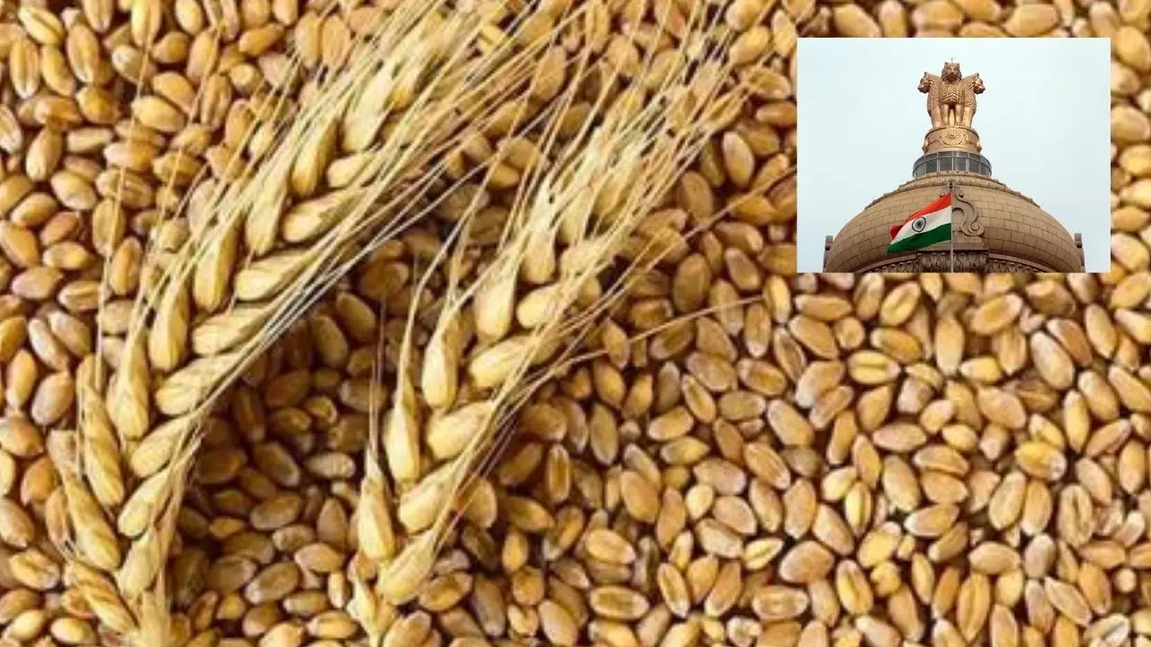 https://10tv.in/national/india-relaxations-on-wheat-export-ban-428552.html