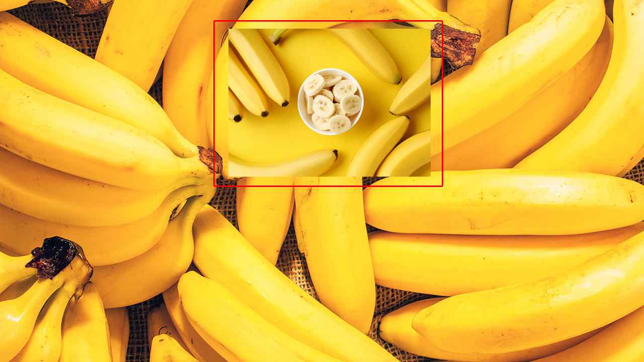 https://10tv.in/national/120-ill-after-consuming-bananas-prasad-in-bihars-vaishali-district-443969.html