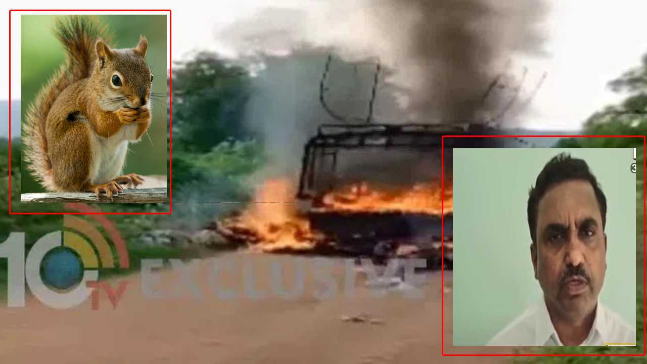 https://10tv.in/andhra-pradesh/andhrapradesh-squirrel-is-the-cause-auto-fire-of-8-squirrels-being-burnt-alive-ap-spdcl-cmd-said-452382.html