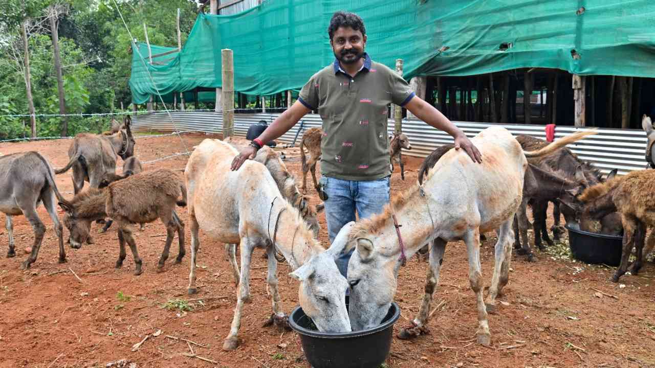 https://10tv.in/latest/man-quits-plush-job-to-open-donkey-milk-farm-in-mangaluru-445366.html