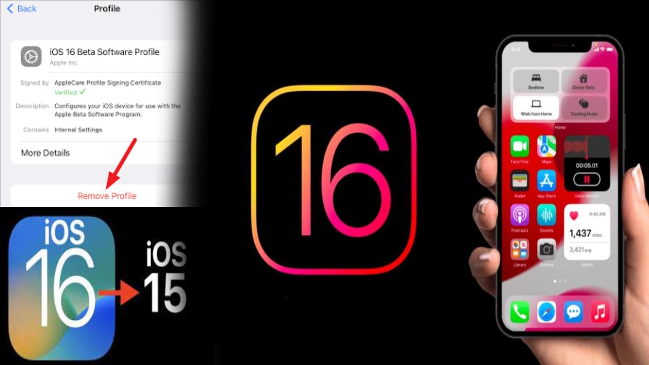 iOS16 Beta Update : iOS 16 beta అప్‌డేట్‌తో సమస్యలా.. iOS 15కు మారిపోండిలా..!