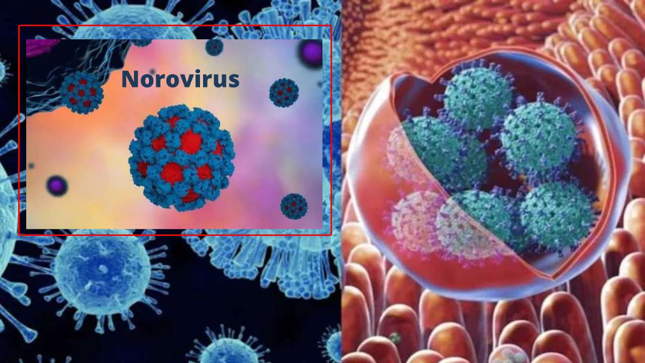 https://10tv.in/national/kerala-confirms-2-cases-of-norovirus-439945.html