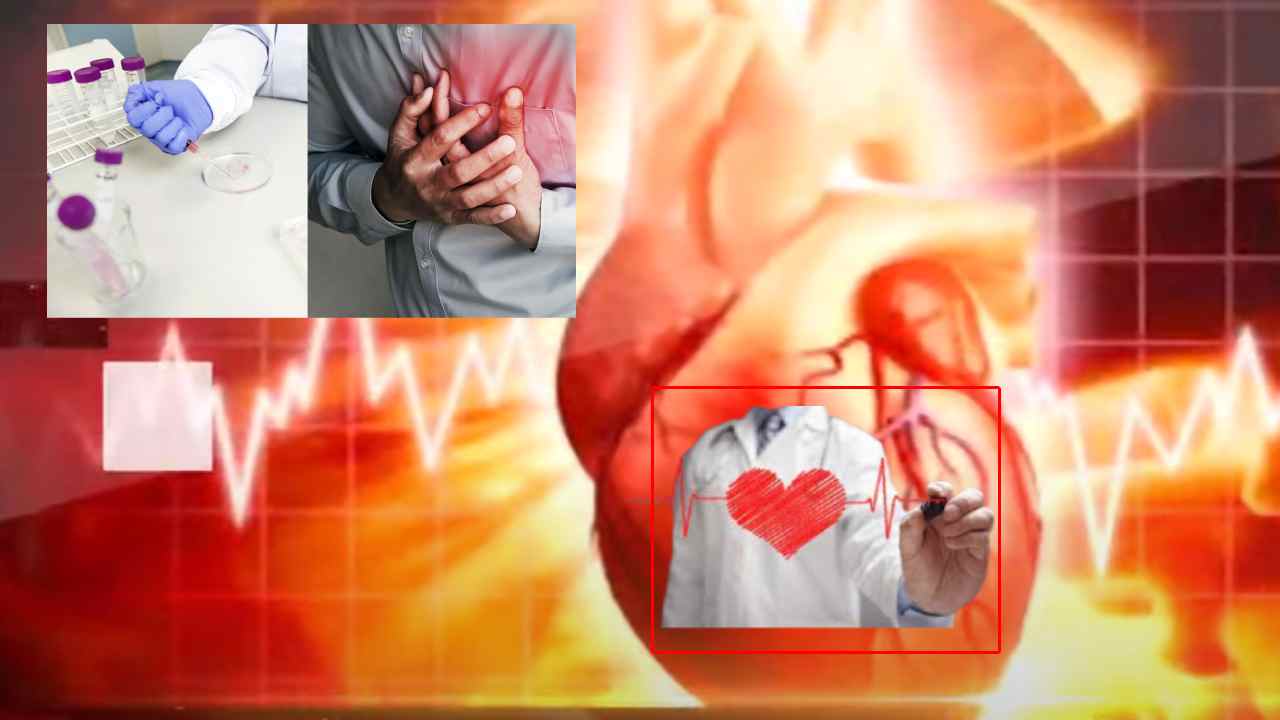 https://10tv.in/international/uk-researchers-develop-gel-that-can-repair-damage-after-heart-attack-442821.html
