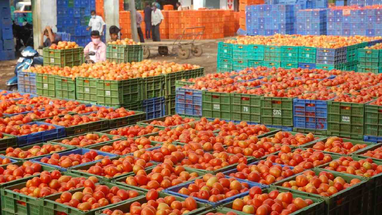 https://10tv.in/latest/tomato-prices-to-stabilise-in-southern-states-in-two-weeks-food-secretary-437758.html