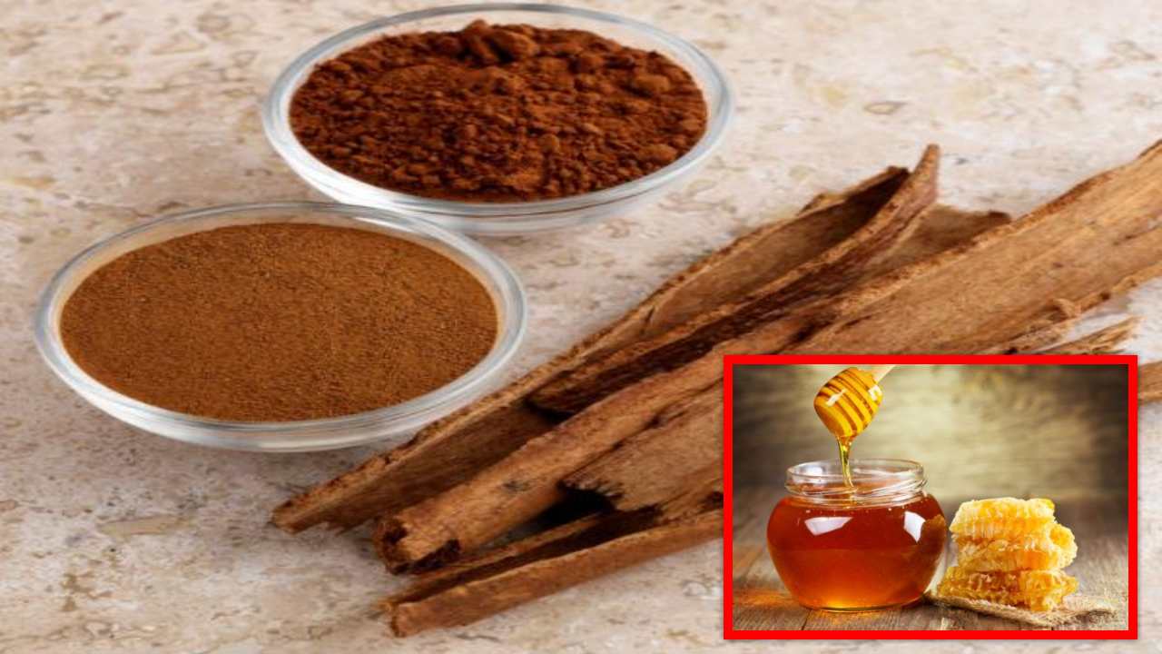 https://10tv.in/life-style/lots-of-health-benefits-with-cinnamon-and-honey-450145.html