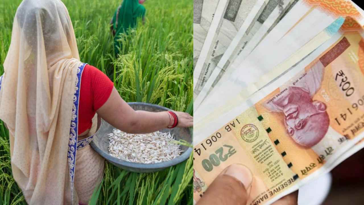 https://10tv.in/national/if-pm-kisan-funds-are-not-in-your-account-correct-these-five-mistakes-444515.html