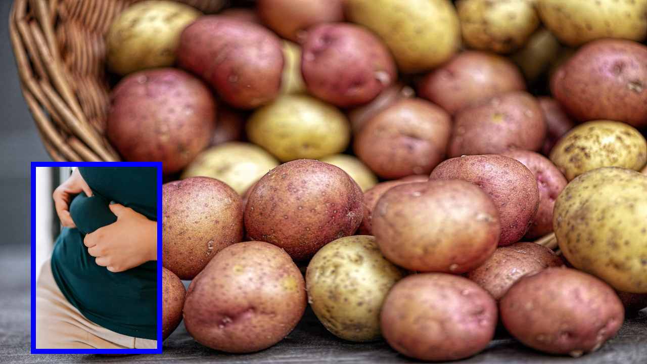 https://10tv.in/life-style/can-i-gain-weight-by-eating-potatoes-447848.html