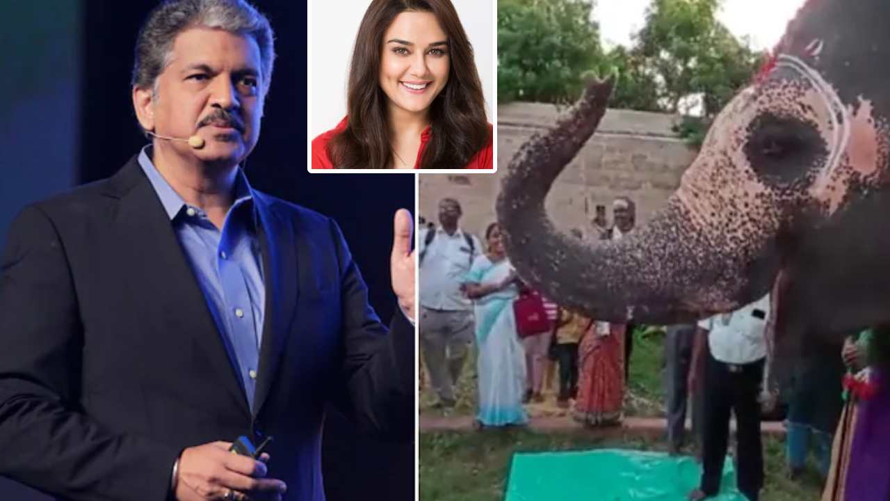 https://10tv.in/national/anand-mahindra-shares-video-of-cute-elephant-celebrating-her-birthday-in-tamil-nadu-443270.html