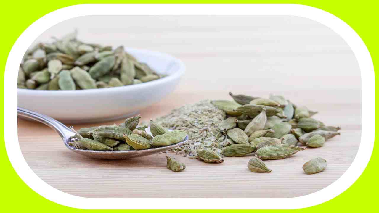 https://10tv.in/life-style/along-with-oral-infections-cardamom-removes-bad-breath-455515.html