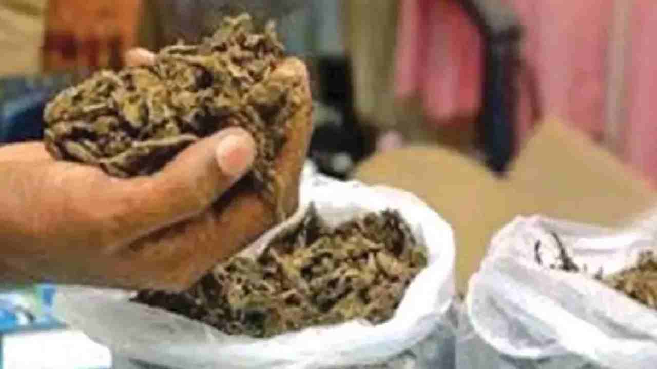 https://10tv.in/crime/391-kg-ganja-worth-rs-58-lakh-seized-two-arrested-in-bhadrachalam-453450.html