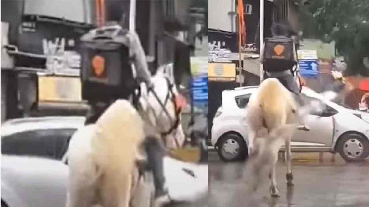 https://10tv.in/viral-videos/viral-video-swiggy-food-delivery-boy-travelling-on-horse-to-deliver-mumbai-due-to-heavy-rains-video-viral-on-social-media-454400.html