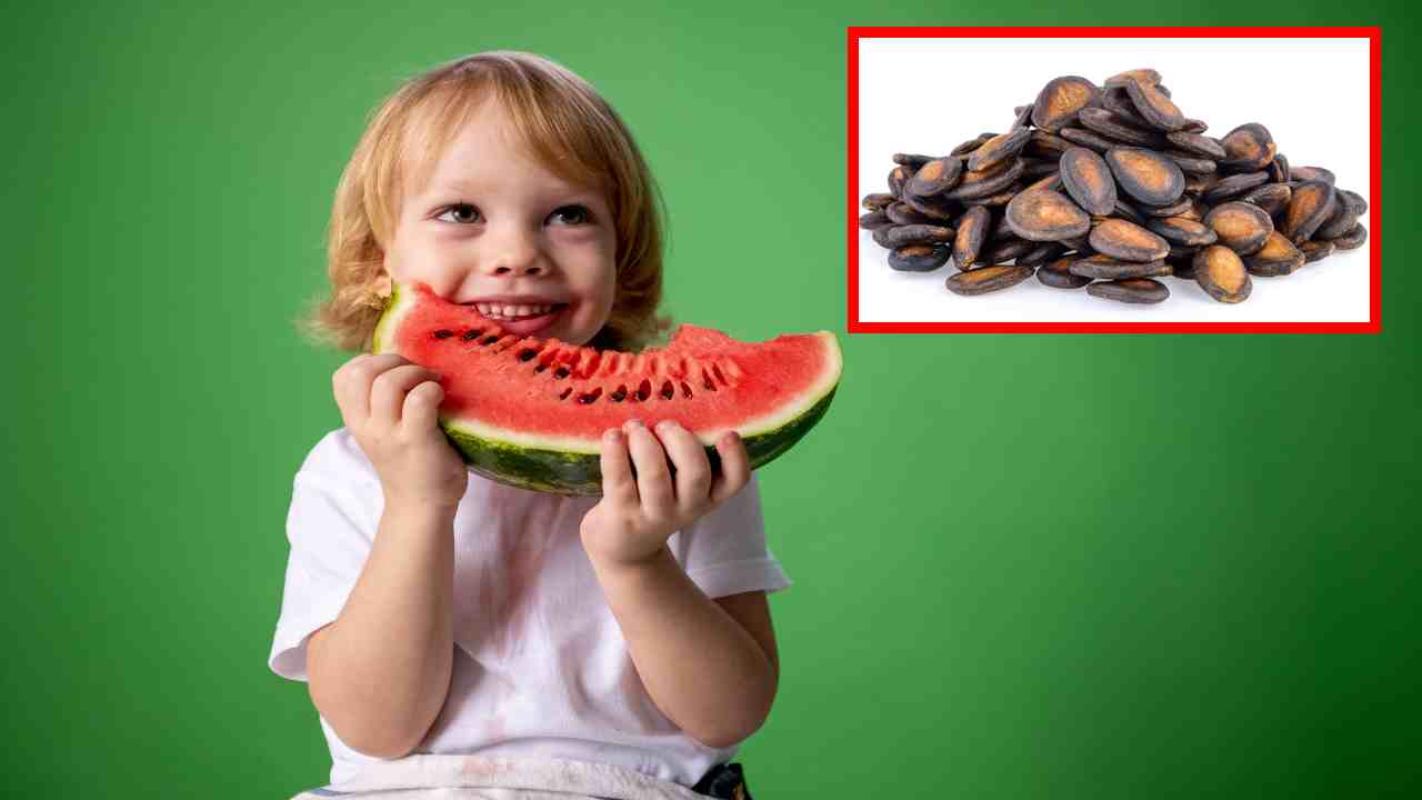 Watermelon Seeds : రక్తపోటును అదుపులో ఉంచే పుచ్చగింజలు!