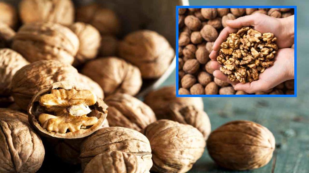 walnuts Benefits