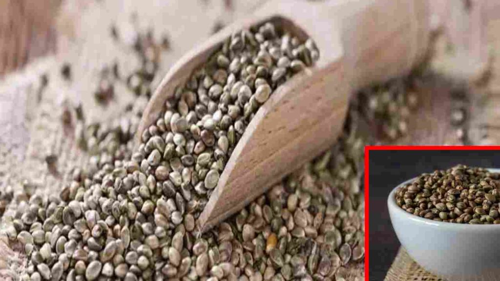 Hemp seeds reduce bad cholesterol and prevent heart disease!