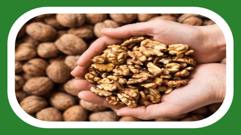 Omega 3 fatty acids in walnuts are good for brain cells!
