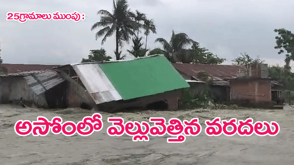 Assam flood woes